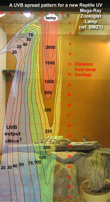 Fig. 13.  ReptileUV Zoo Mega-Ray in a vivarium