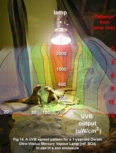 Fig. 14.  1-year-old Osram Ultra-Vitalux in a vivarium