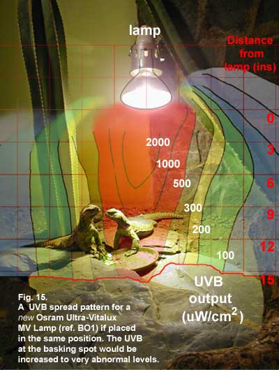 Fig. 15.  Effect of replacing older bulb without altering height of lamp in vivarium