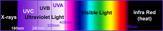 Fig. 1. The electromagnetic spectrum