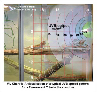 Viv Chart 1: Fluorescent Tube with no Reflector